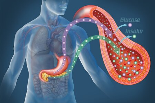 how-blood-sugar-works-1