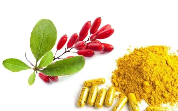 berberine-supplement-2