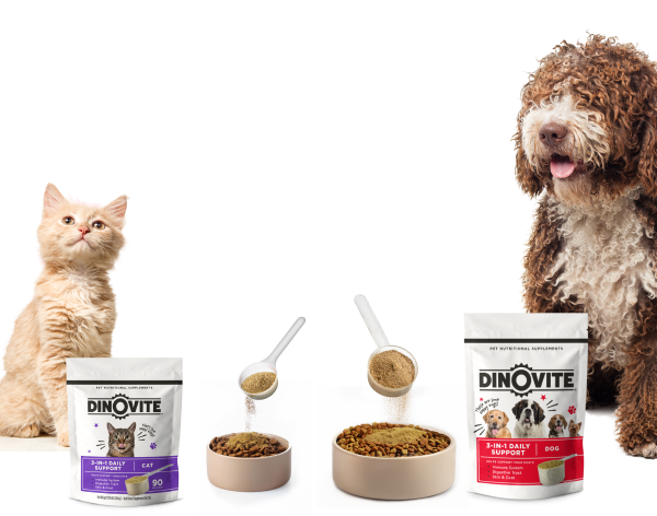 dinovite-pet-supplement-review-2026